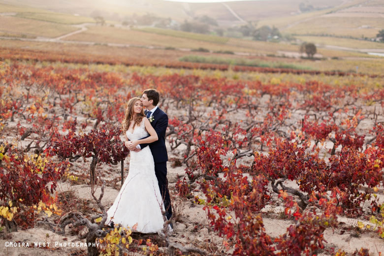 Wedding couple in field at 401 Rozendal Stellenbosch Wedding Venue Photograph by Moira West