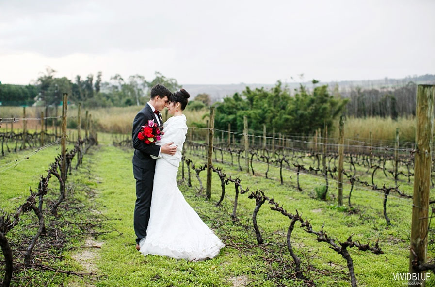 Winter Wedding Couple Standing in the Vineyards