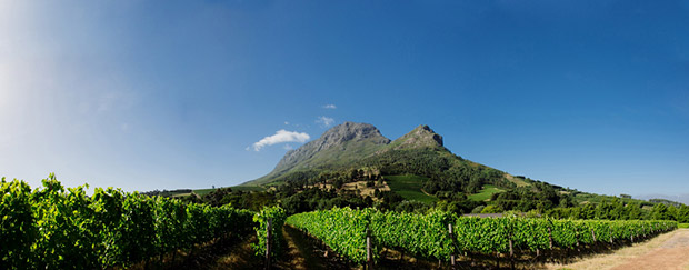 Zorgvliet Wine Estate Wedding Venue Stellenbosch Mountain Views