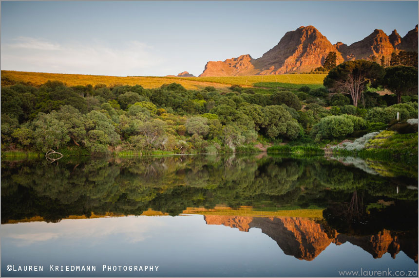 Mountain backdrop reflection in dam at Hidden Valley Wedding Venue Stellenbosch Landscape Photograph by Tasha Seccombe