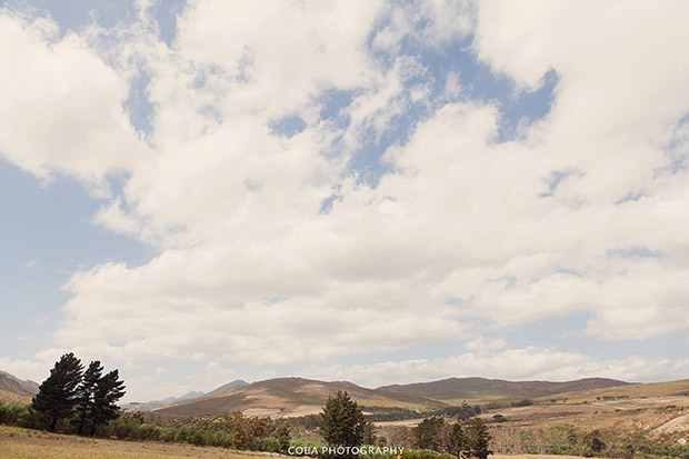 The Surrounds at Blue Gum Country Estate Wedding Venue