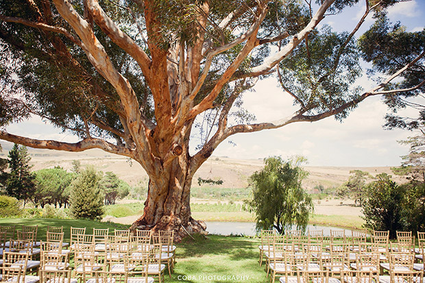 Outdoor Wedding Ceremony Area at Blue Gum Country Estate